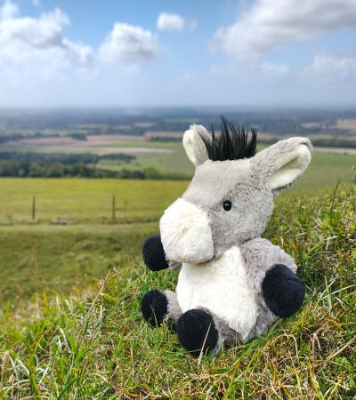 All Creatures Cleo the Donkey Cuddly Toy Large Size (36cm) - Image 2