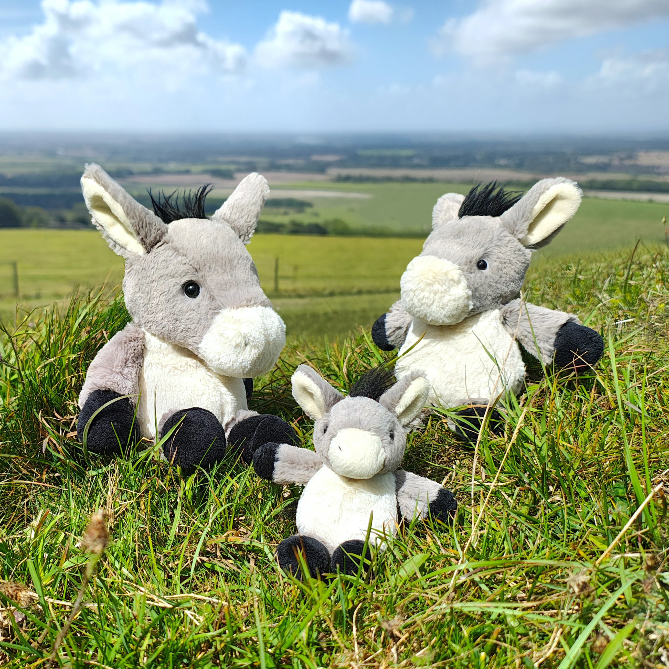 All Creatures Cleo the Donkey Cuddly Toy Medium Size (24cm) - Image 2