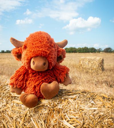 All Creatures Extra Large Hamish the Highland Cow (Sits 99cm) - Image 5
