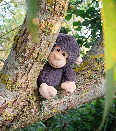 All Creatures Medium Plush Kokomo The Chimpanzee, Soft Cuddly Toy 16cm - Image 2
