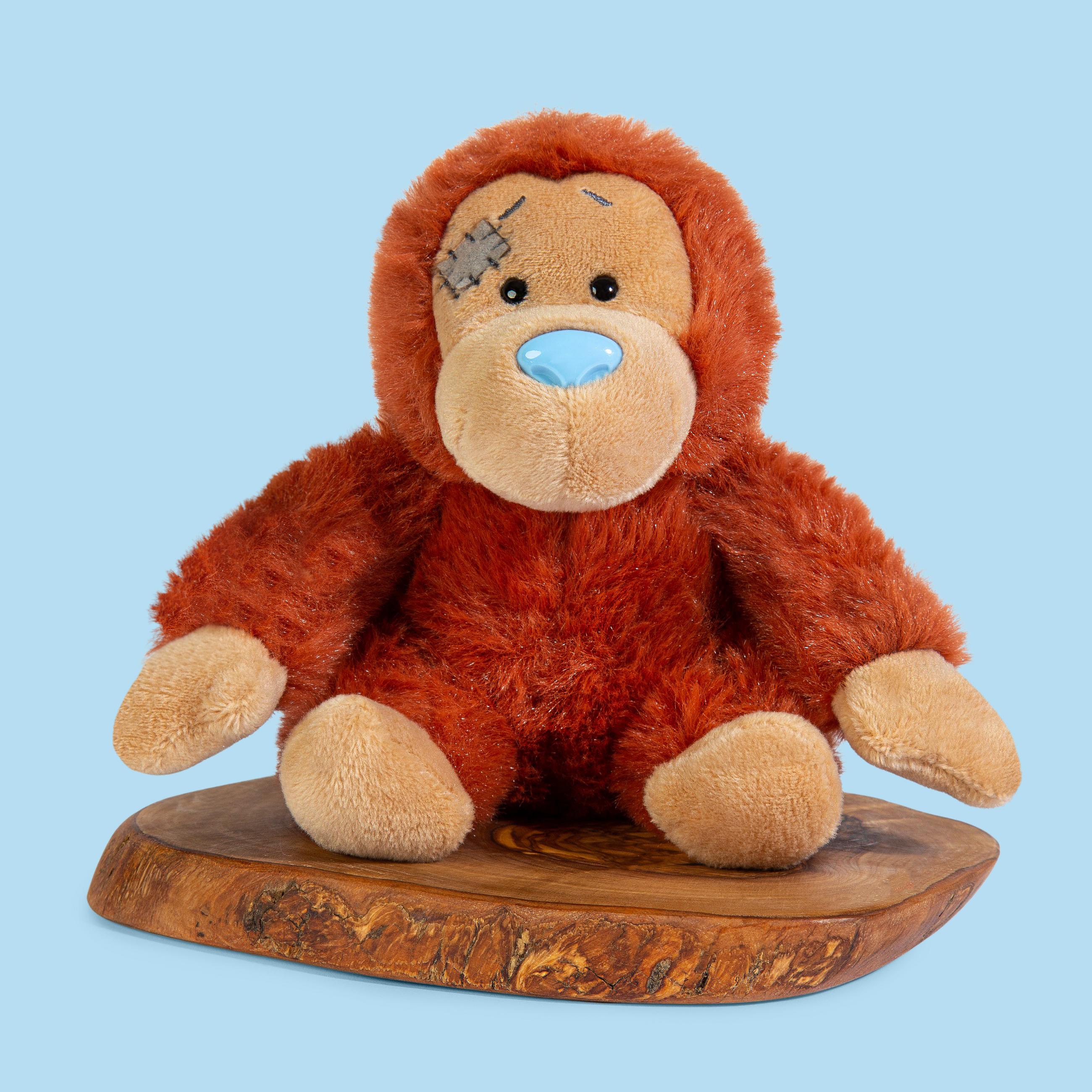 My Blue Nose Friends Darwin the Orangutan No. 57 - Image 2